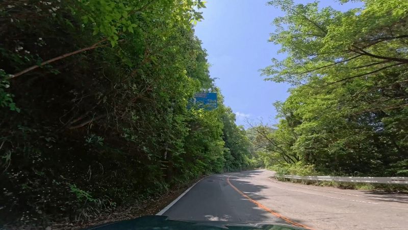 頼朝ライン